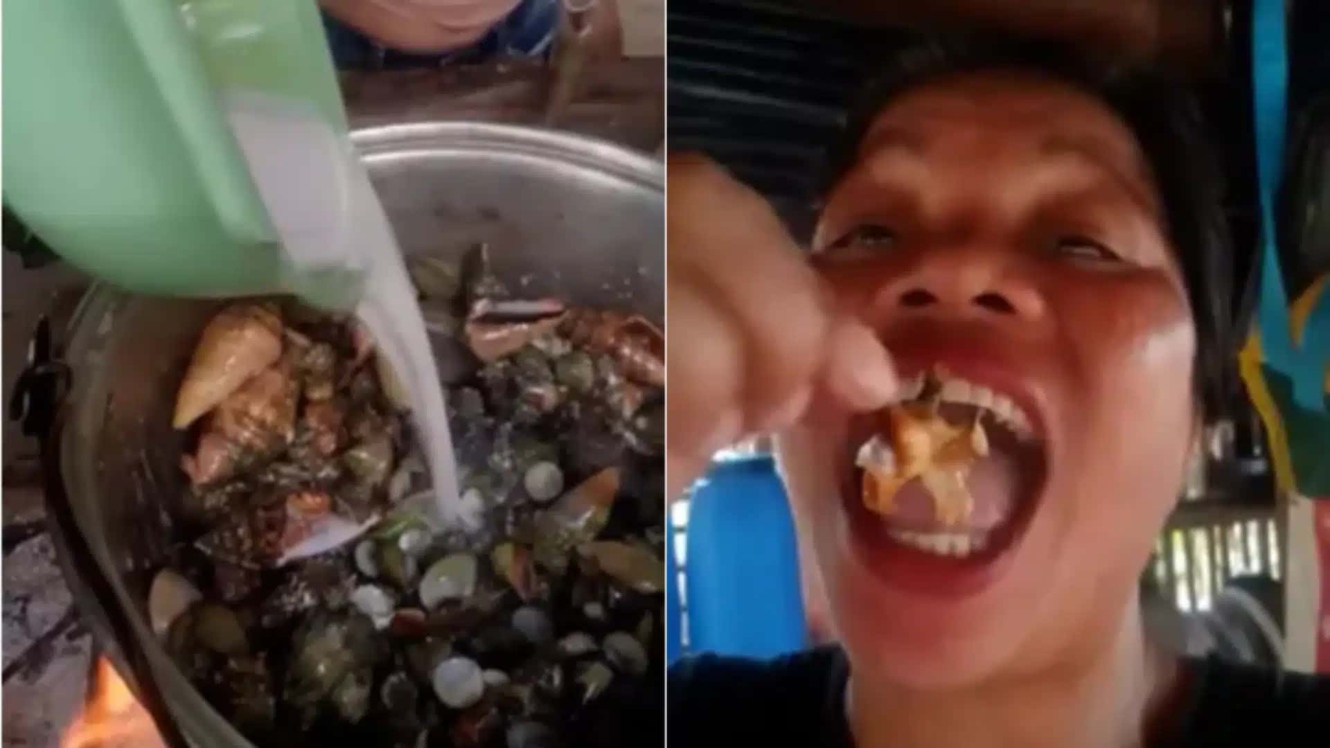 Influenciadora-e-morta-apos-comer-caranguejo-do-diabo