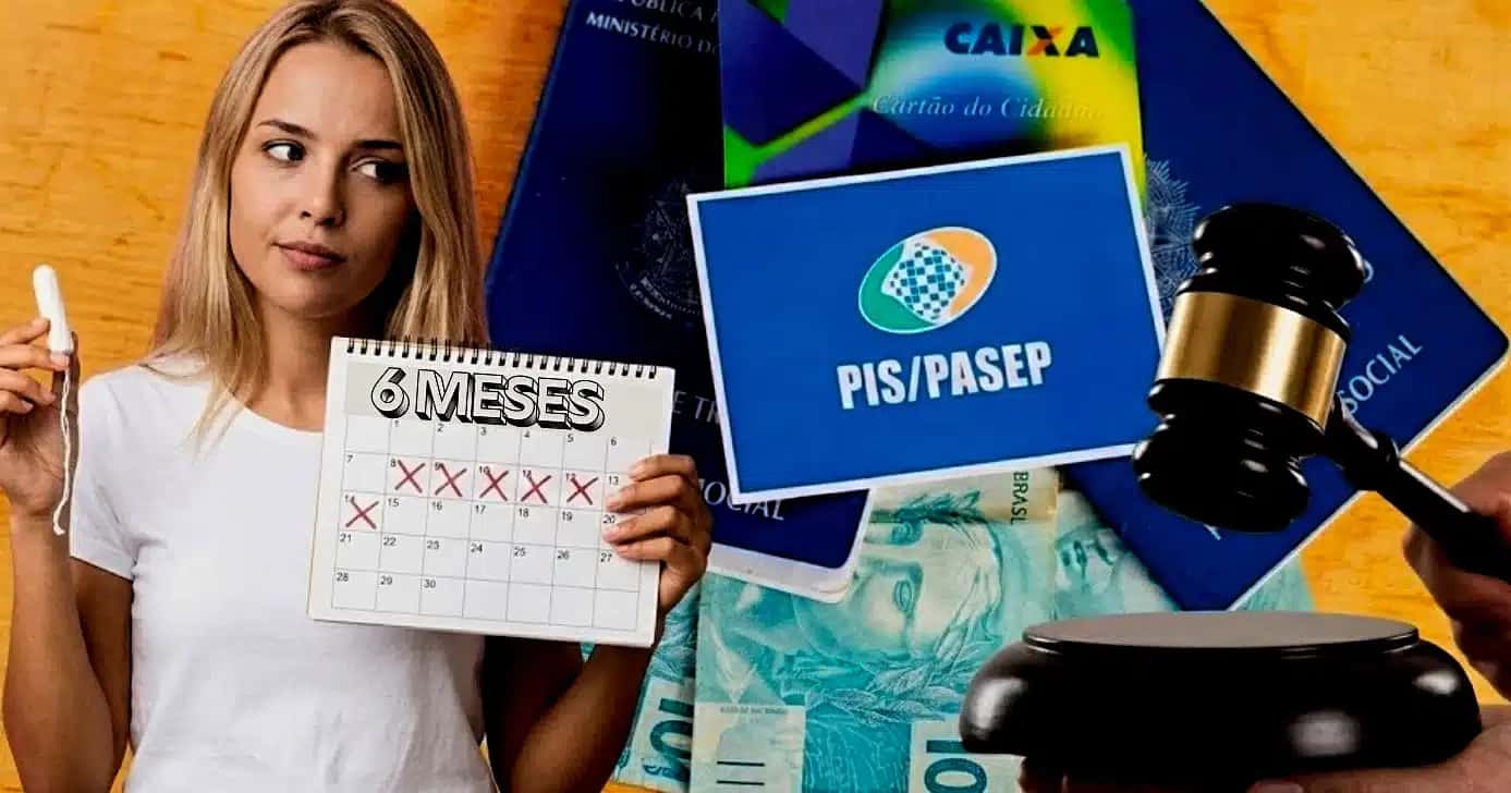 PISPASEP-Lei-montagem-lennita-tv-foco-fotor-2026022617933