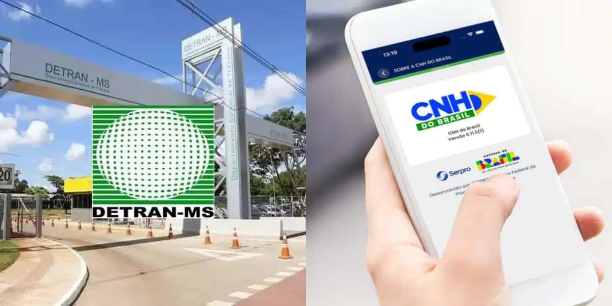 detran-cnh