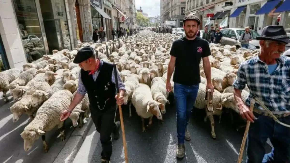 protesto-agricultores-lyon-franca-e1771621091460