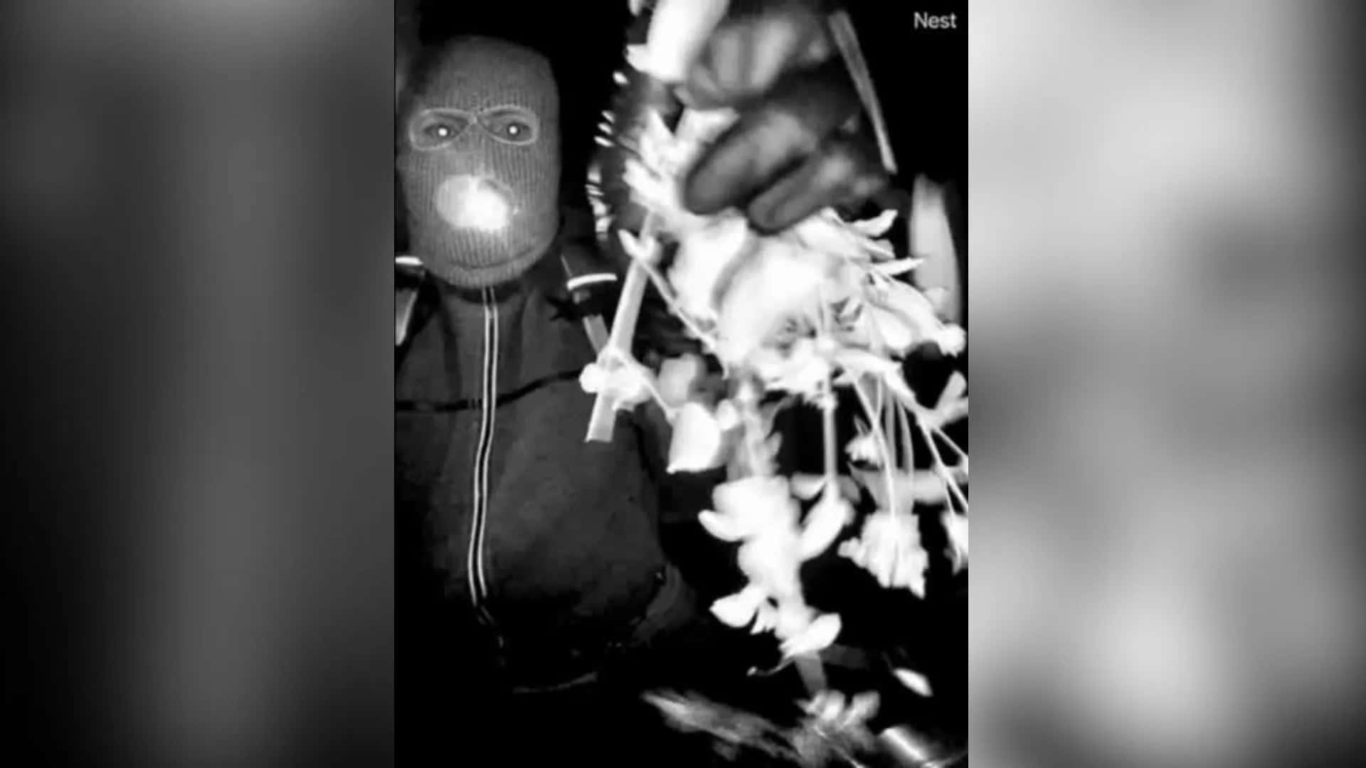 suspeito-mascarado-na-casa-de-Nancy-Guthrie
