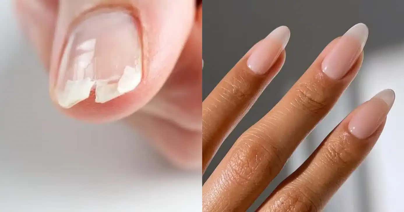 unhas-dcas