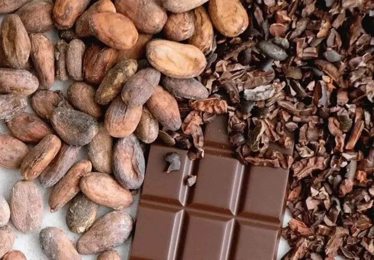 dia-do-cacau-26-marco-chocolate-e1648477704949