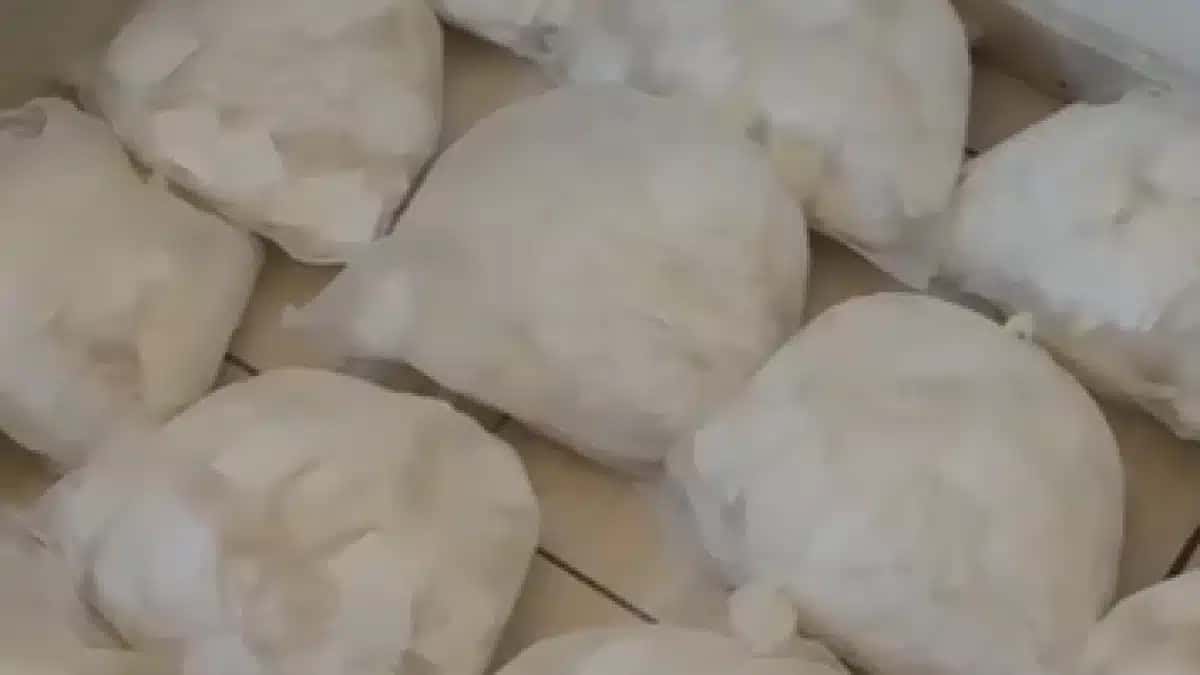 cocaina_baa86d-e1779978860380