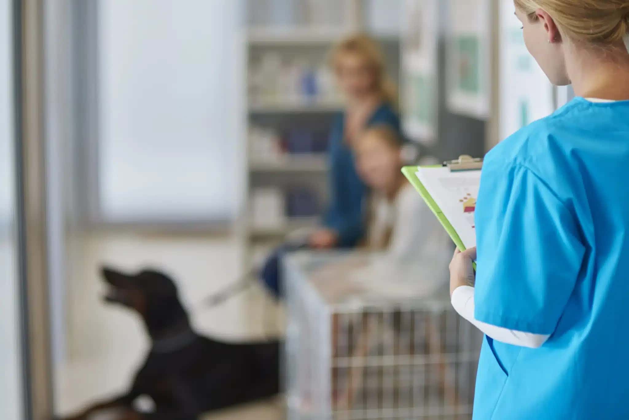 doctor-asking-client-from-queue