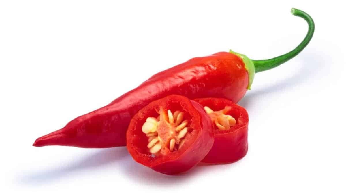 pimenta-malagueta-_1777936699038-1024×576-1