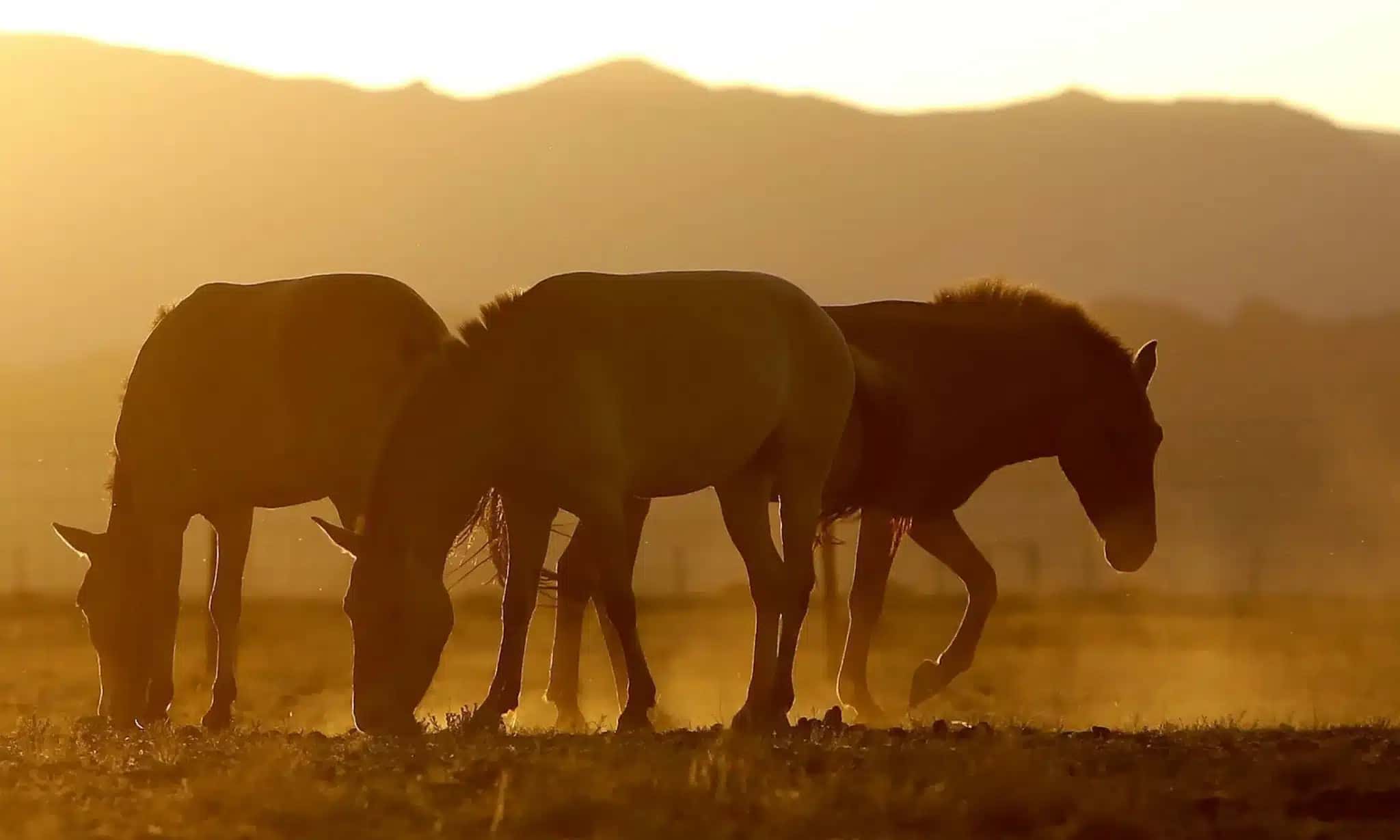 tagreuters.com2024binary_LYNXMPEK560OV-FILEDIMAGE