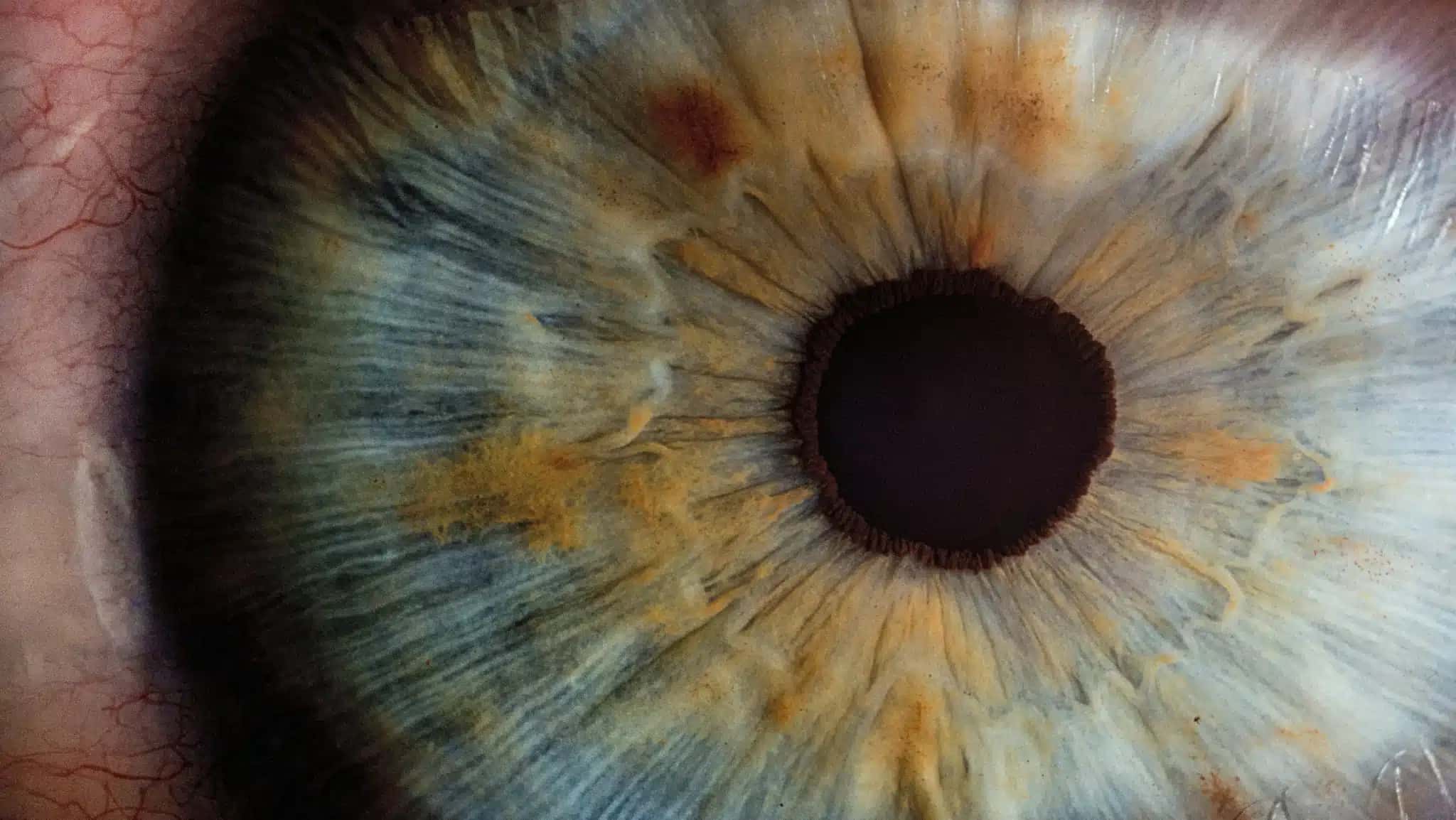 v2osk-In4XVKhYaiI-unsplash-e1779832677884