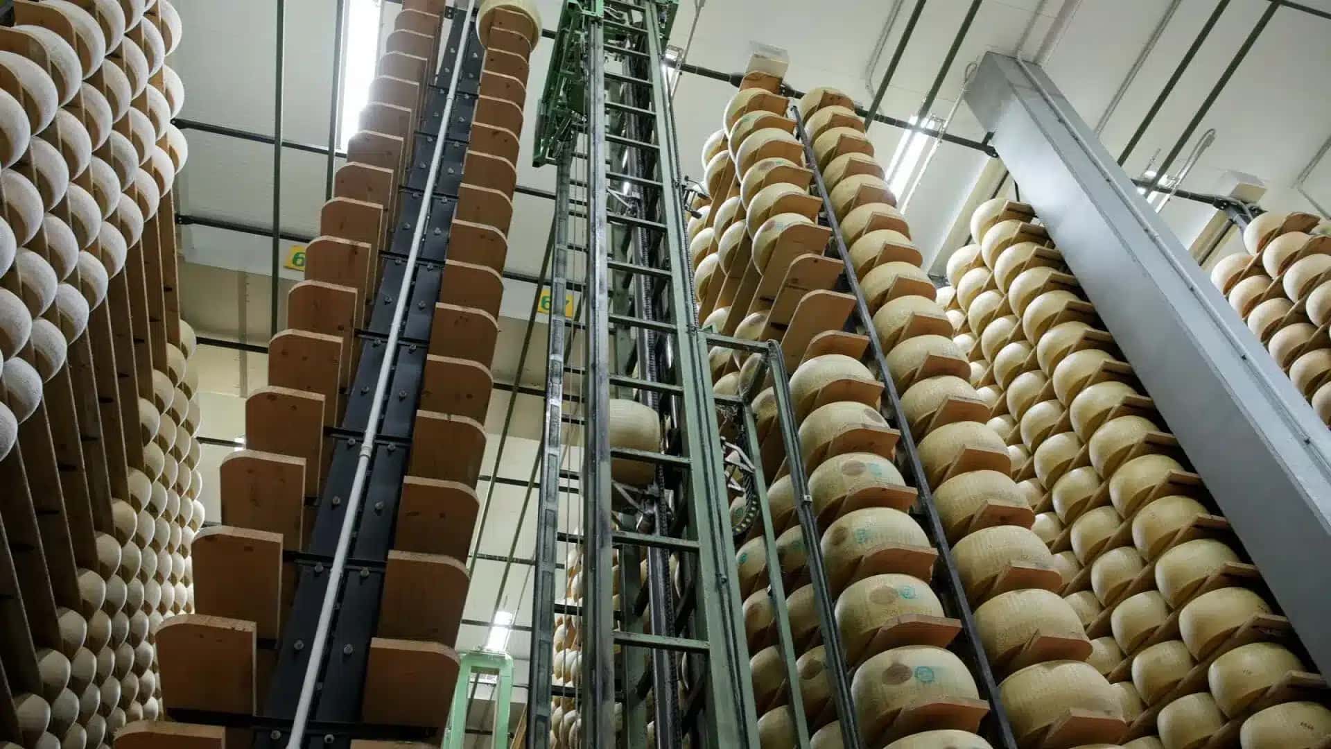 BANCO-DE-QUEIJO-CNN