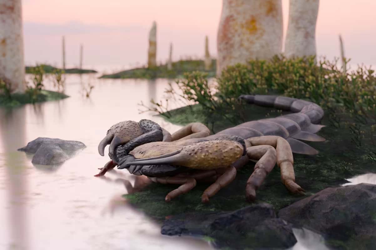 life-reconstruction-of-praearcturus-gigas-franz-anthony-high-res