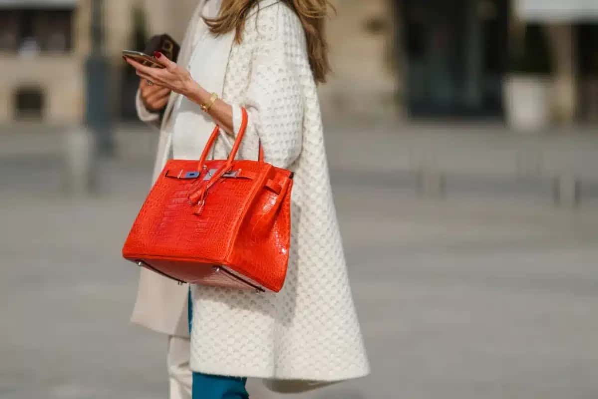 Bolsa Birkin com padrão de pele de crocodilo