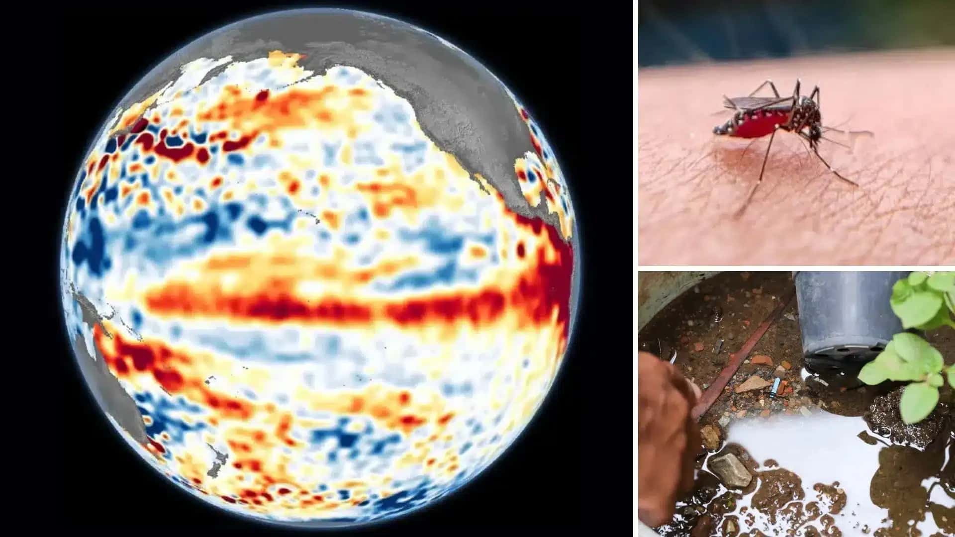 Entenda como o El Niño favorece a dengue e chikungunya