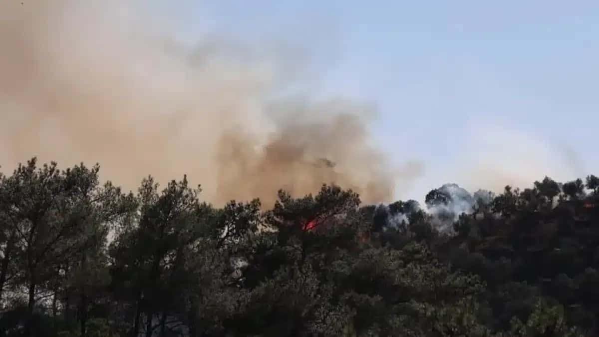 Incêndio florestal em ilha na Grécia força moradores a deixarem casas