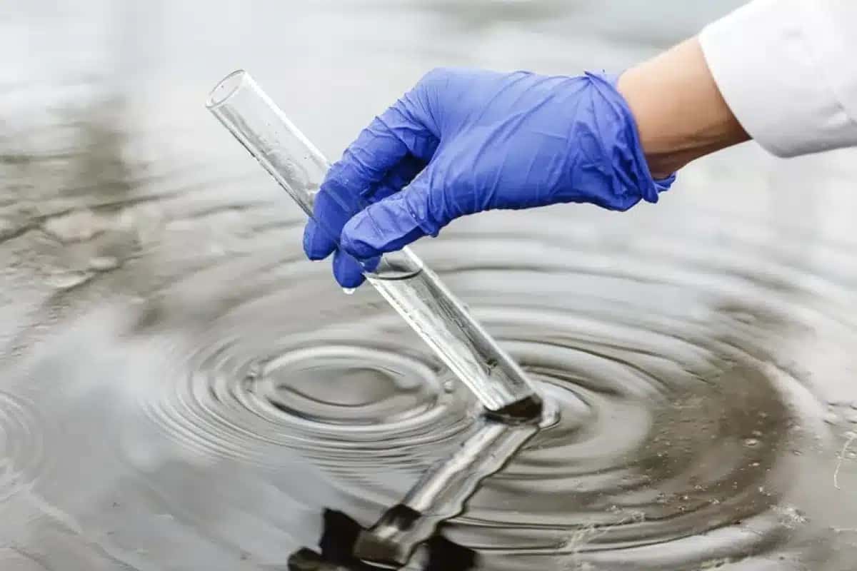 Tecnologia poderá ser usada na retirada de poluentes da água