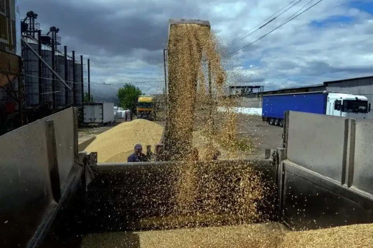Grãos carregados em caminhão na região de Odesa, Ucrânia
