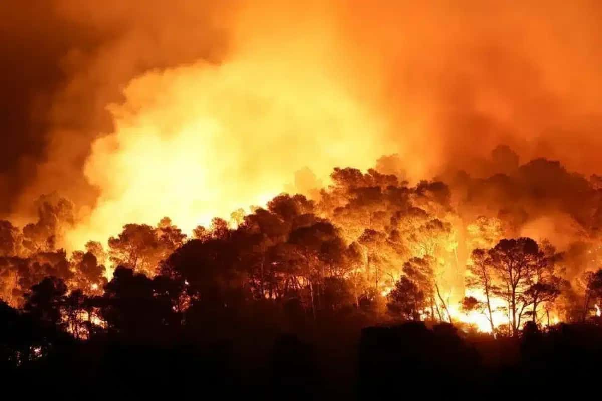 Incêndio no sul da França