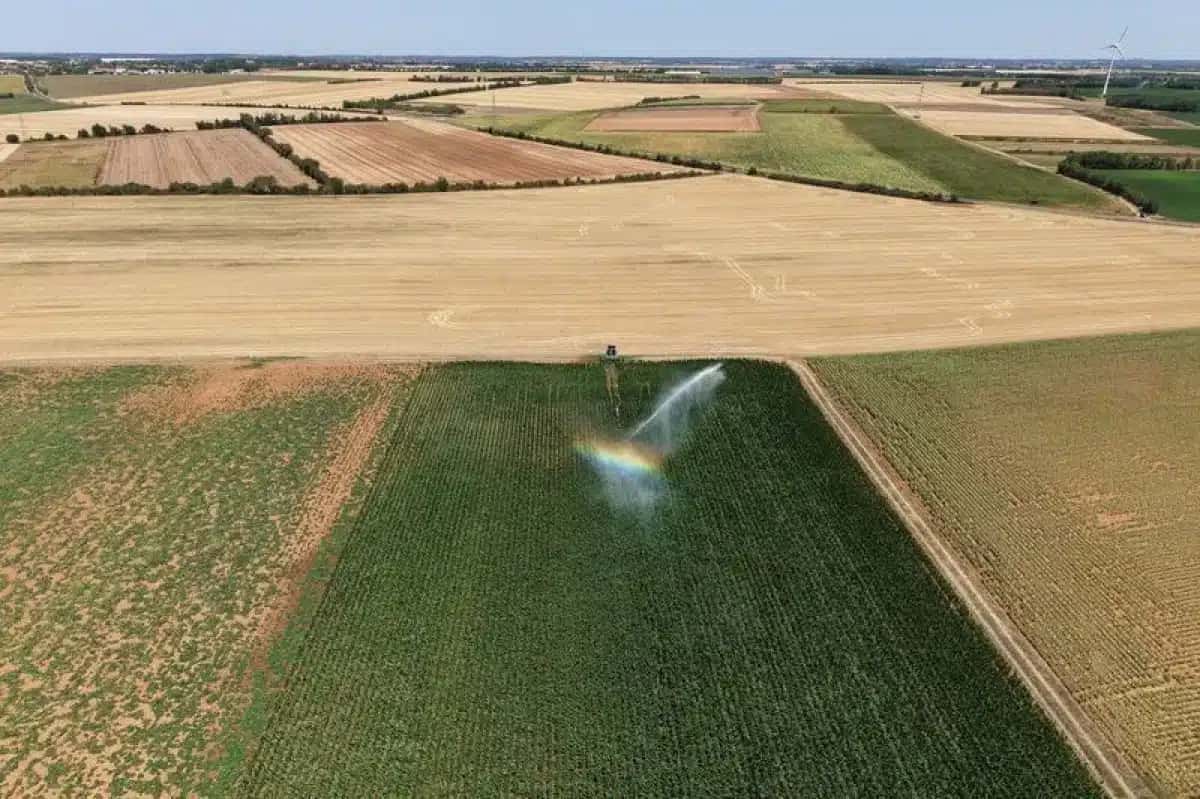 Sistema de irrigação no departamento de Vendée