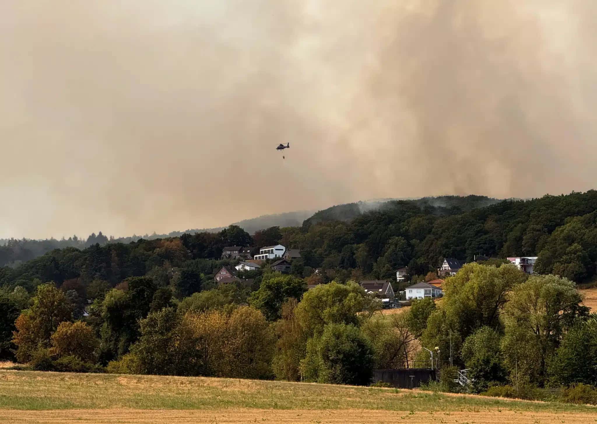Incêndio florestal se aproxima de área residencial em Huertgenwald-Gey 14 de agosto de 2026 REUTERS/Timm Reichert