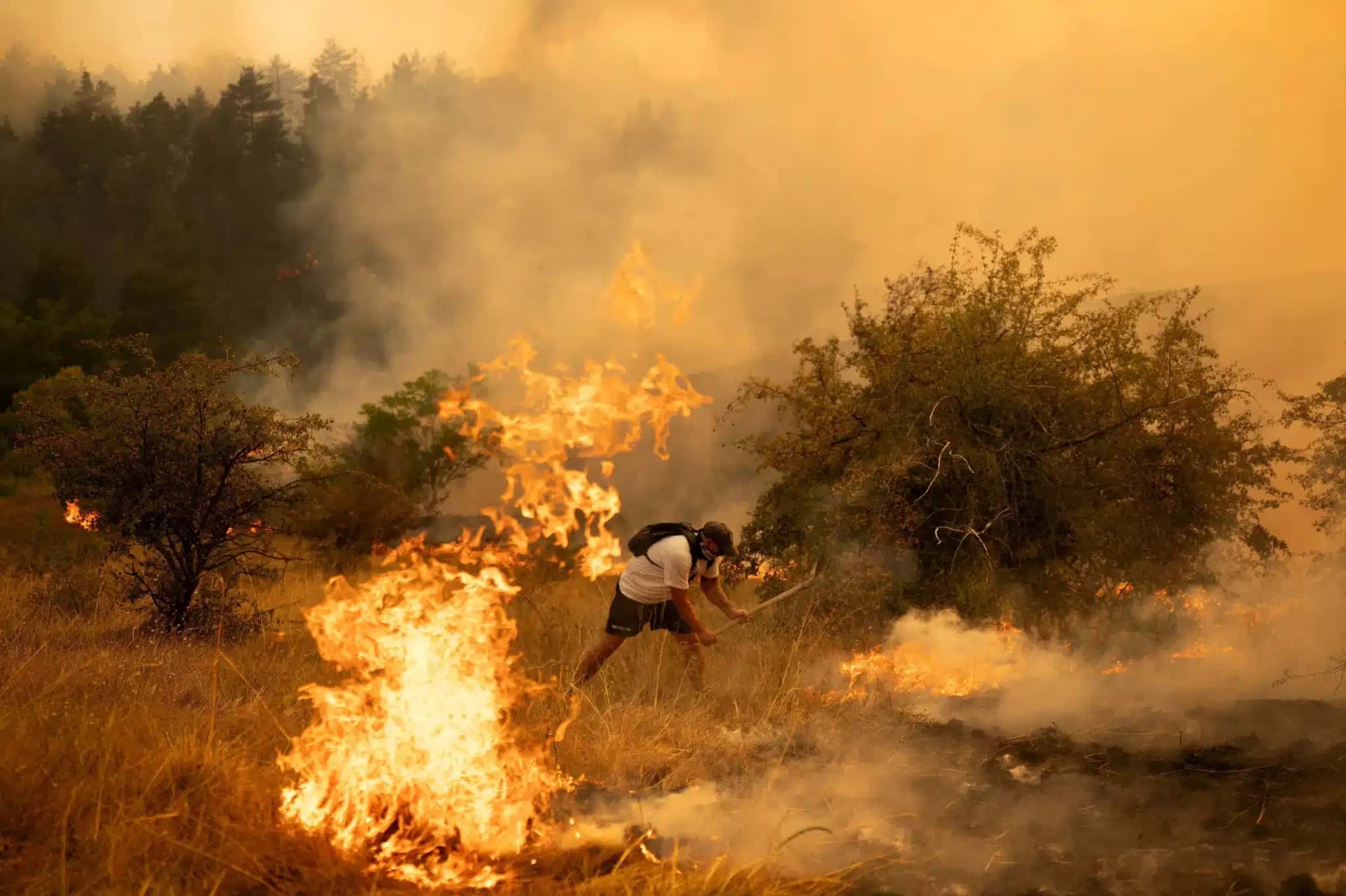 Um morador local combate um incêndio florestal em Grebenac, perto de Deliblatska Pescara, na Sérvia