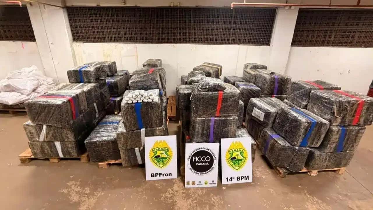Materiais foram apreendidos durante operação
