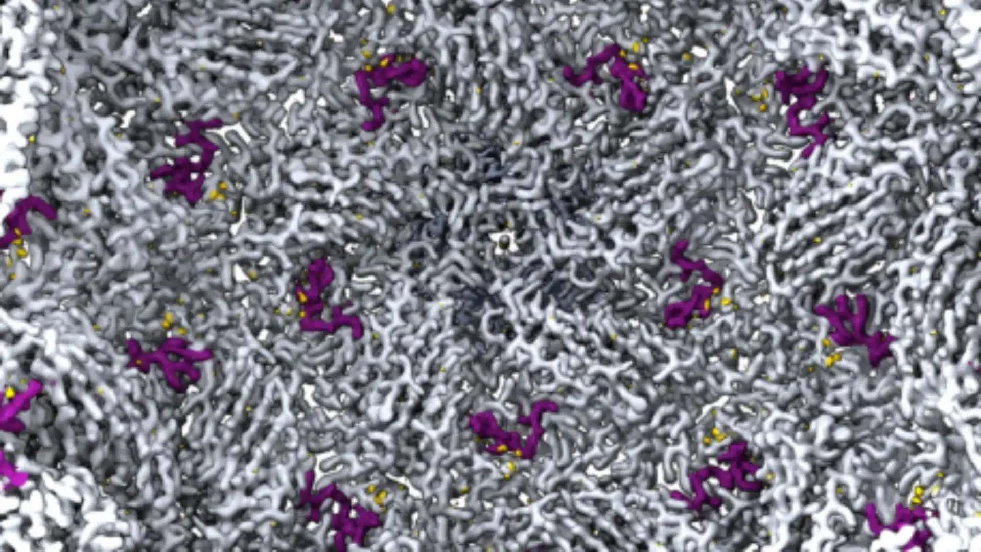 Experimento nos EUA usa inteligência artificial para criar vírus