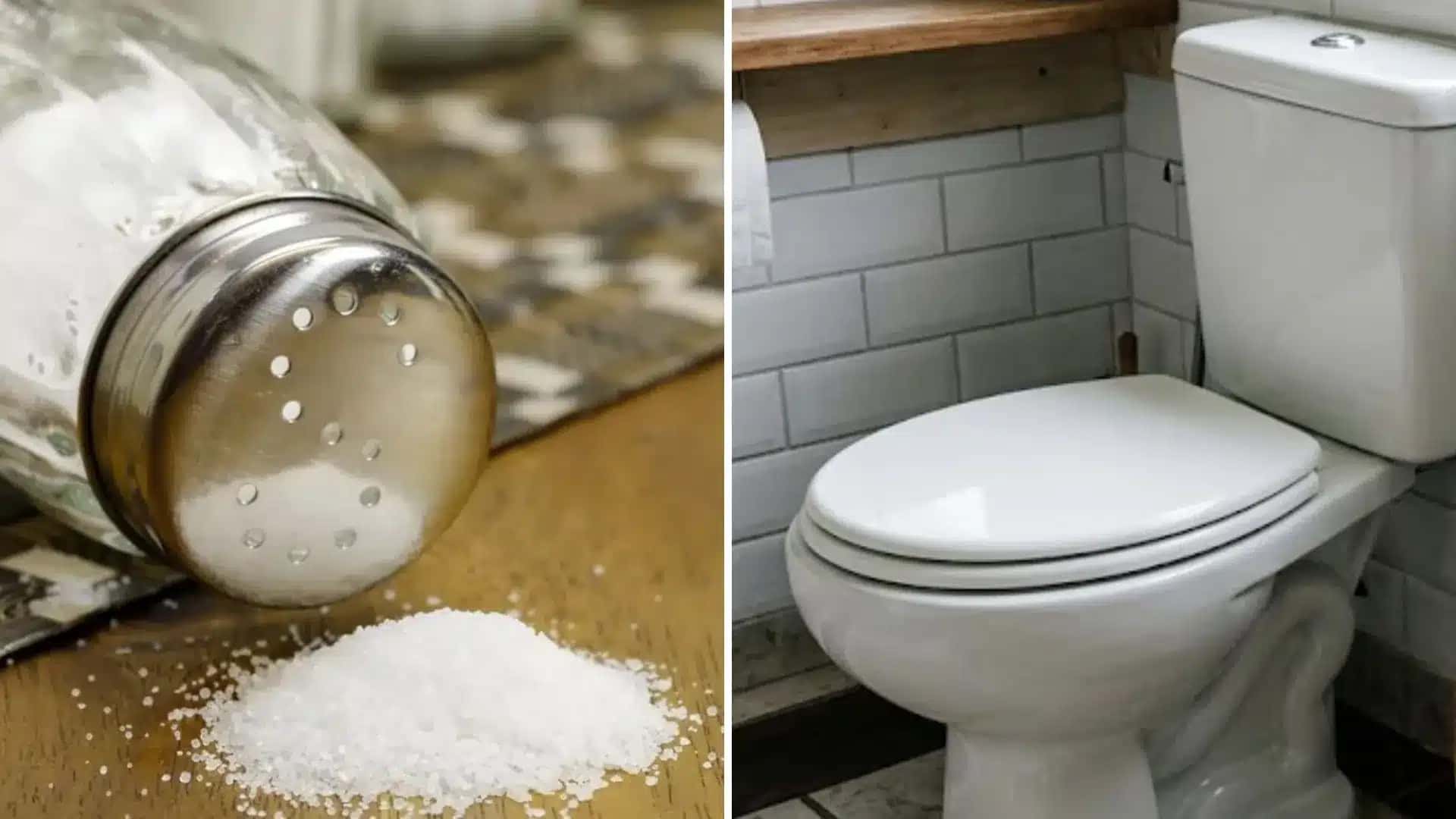 _Sal no vaso sanitário entenda técnica caseira e como utilizar