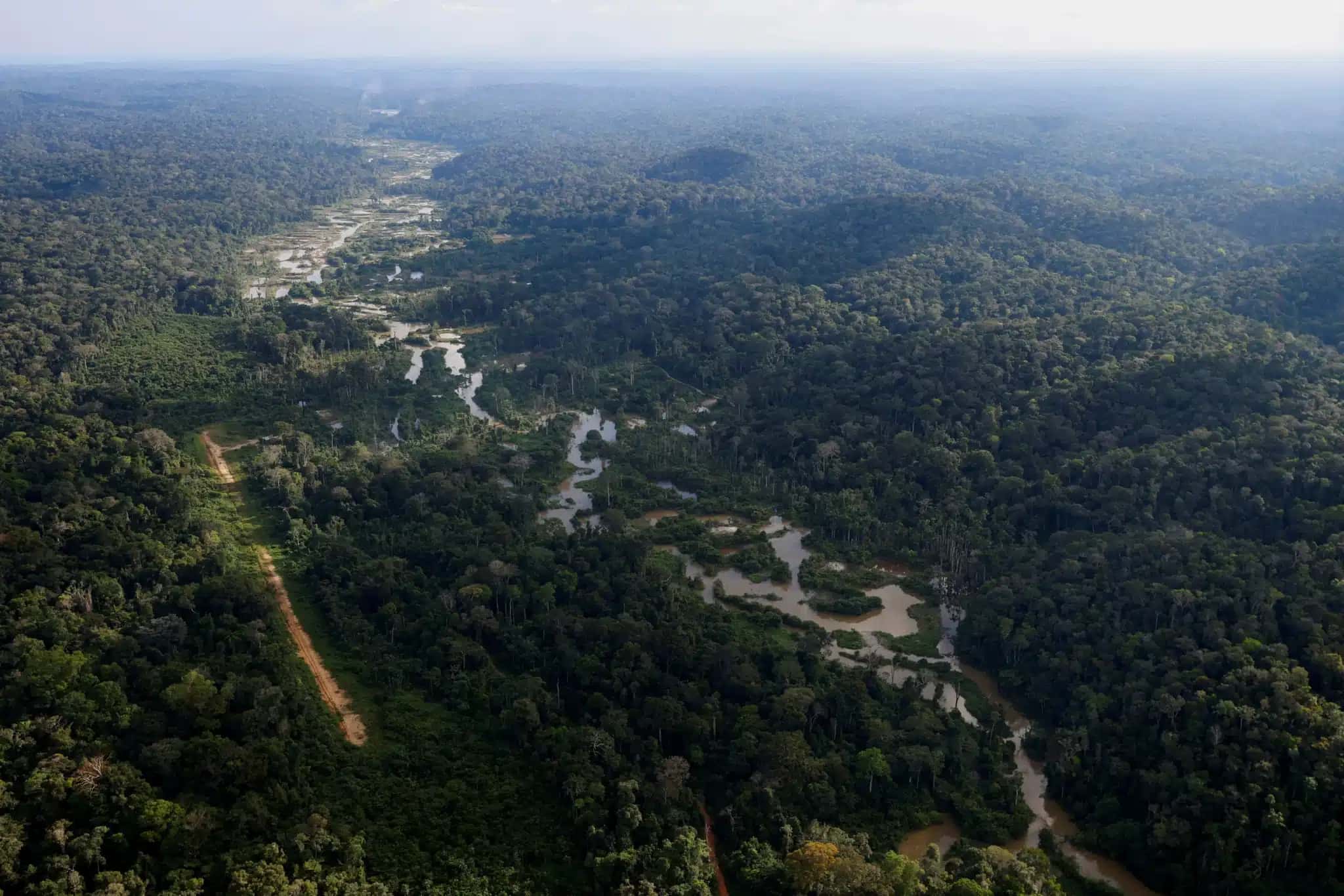 Floresta Nacional de Urupadi, na floresta Amazônica, Estado do Amazonas