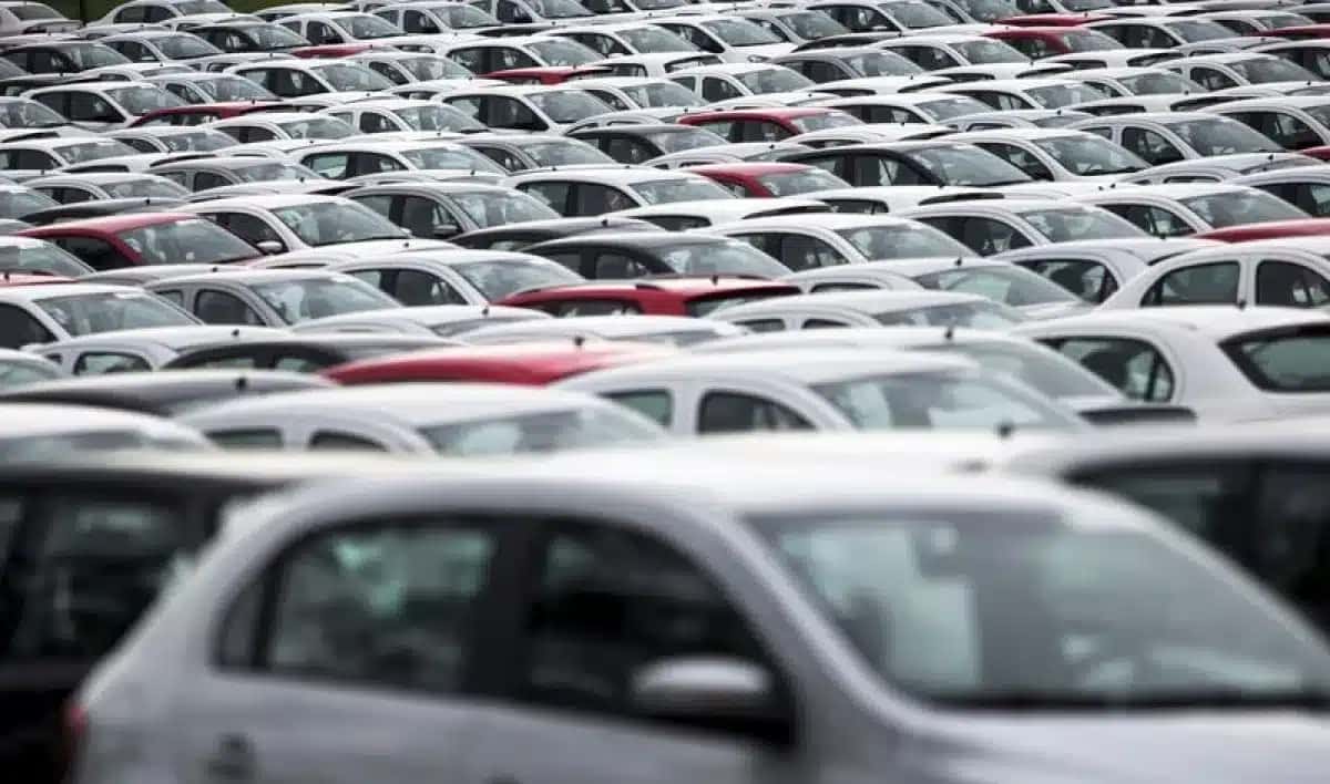 Pesquisa compara dados de 2025 com registros de 2024