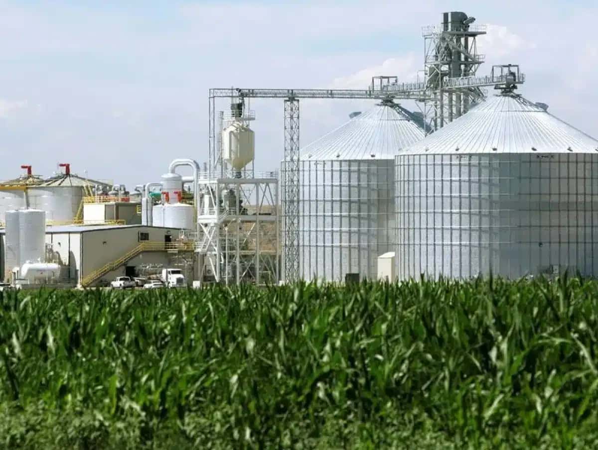 Uma usina de etanol com seus silos de milho ao lado de um milharal