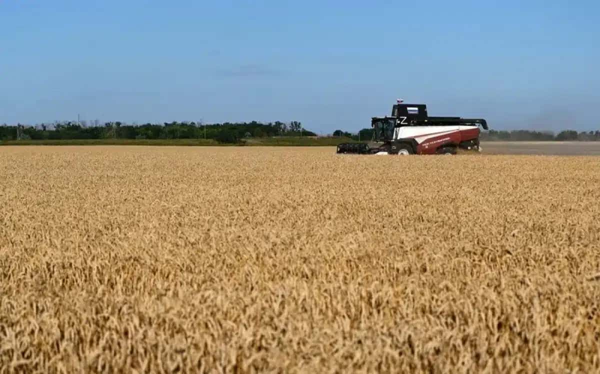 Colheita de trigo na região de Rostov, na Rússia