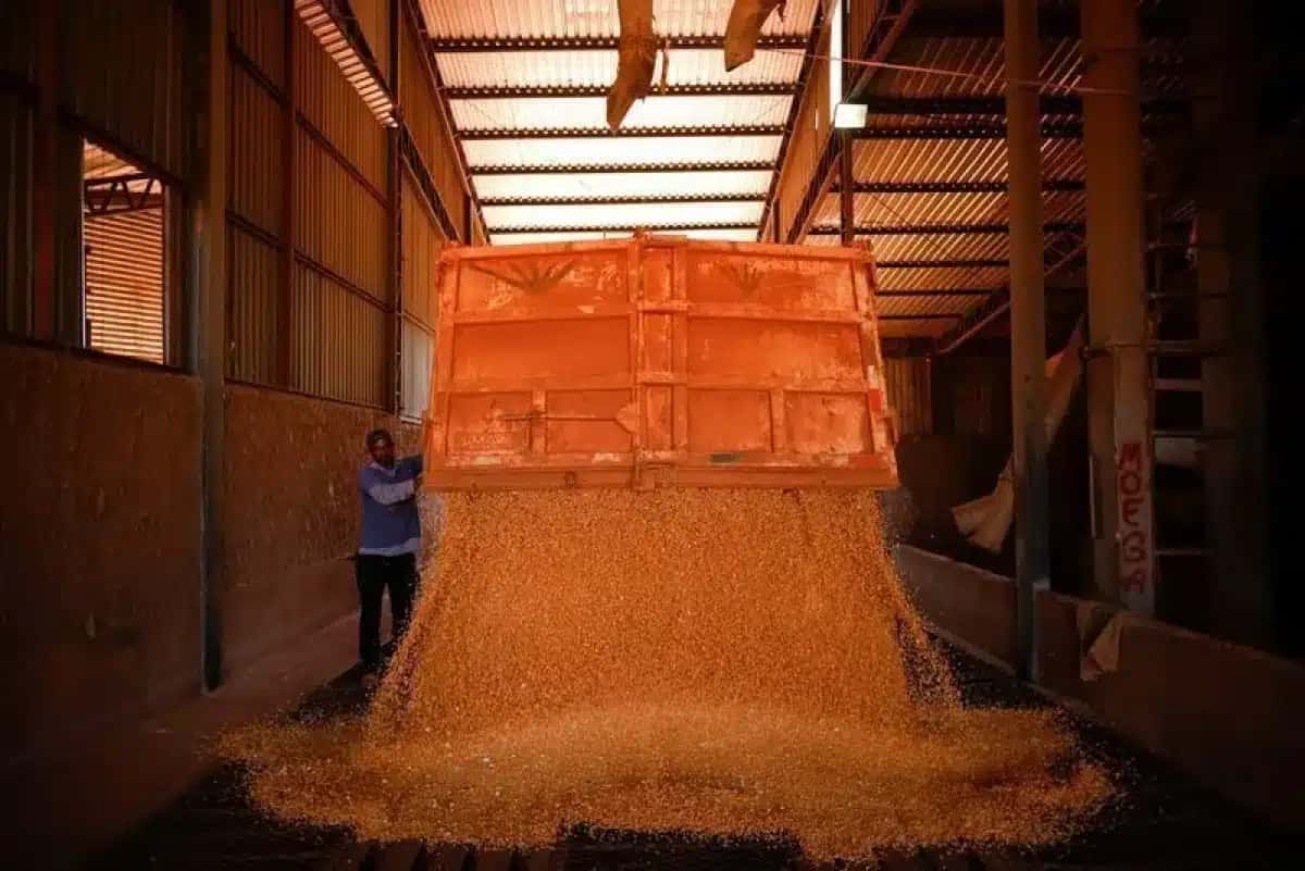Um trabalhador descarrega grãos de milho de um caminhão para um silo em uma fazenda próxima a Brasília