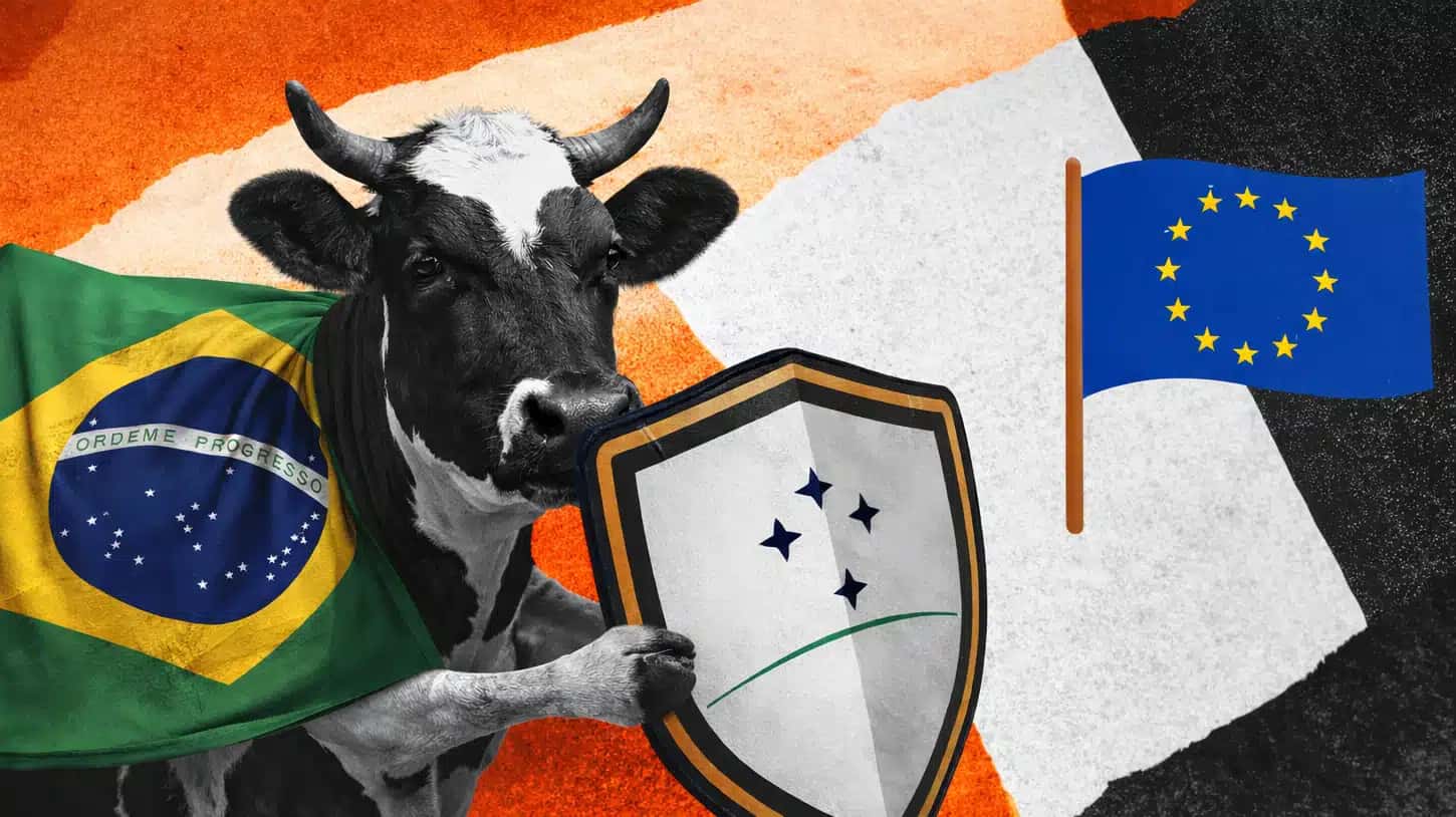Ilustração de uma vaca com a bandeira do Brasil segurando um escudo com o símbolo do Mercosul atrás de uma bandeira da UE (União Europeia)