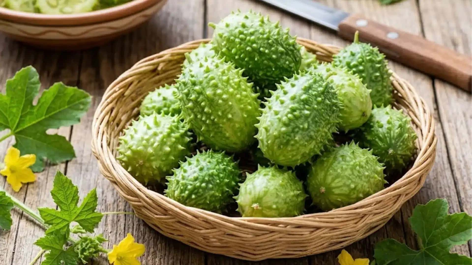 Com origem africana e 95% de água, o maxixe atravessou séculos para virar referência no Nordeste: conheça a história e os nutrientes do vegetal