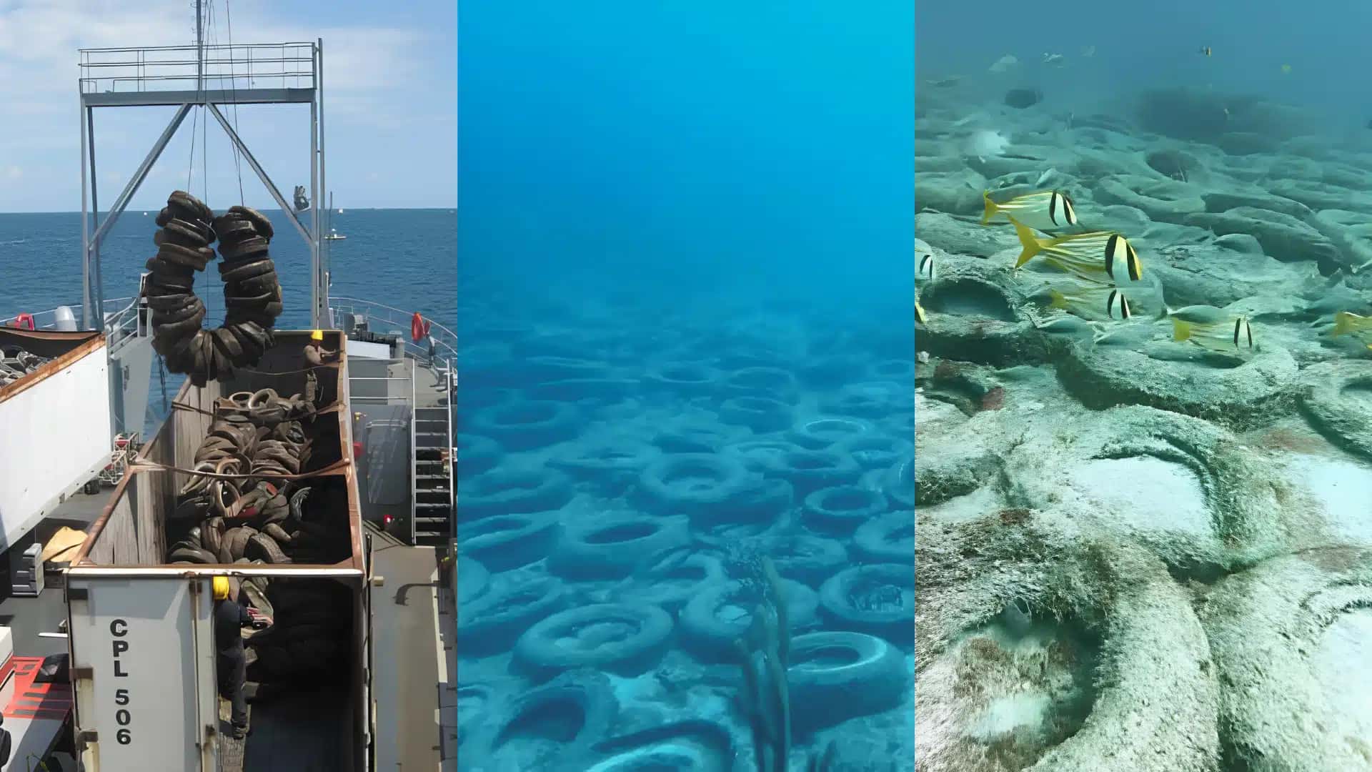 Projeto de recifes artificiais fez milhares de toneladas de pneus serem descartados no mar da Flórida