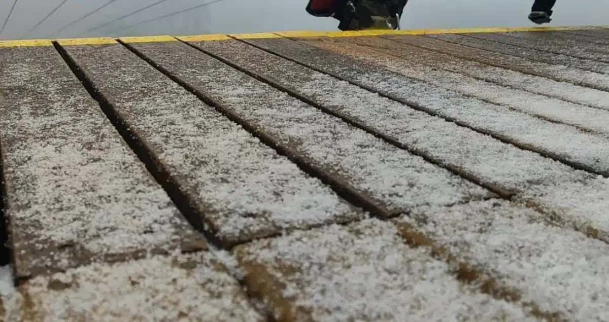 Neve cai na Serra Gaúcha