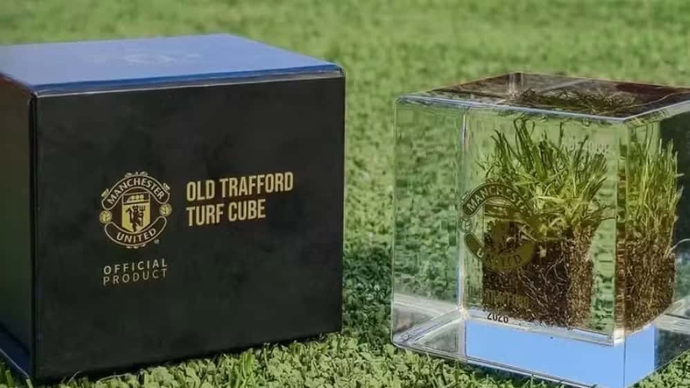 Tufo de grama de Old Trafford
