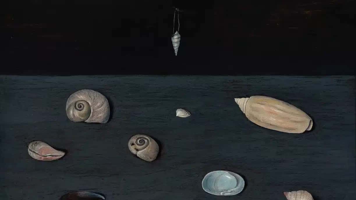 A pintura de 1951 de Gertrude Abercrombie, ‘Alderman Merriam’s Shells’