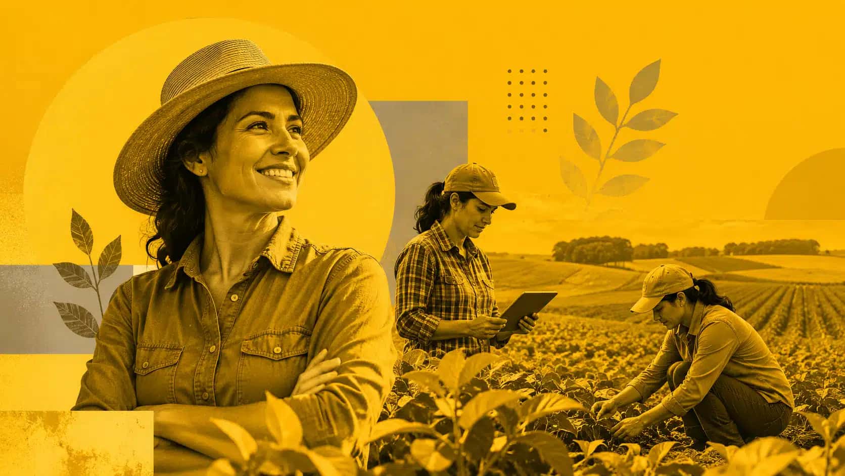 Mulheres atuam no campo, mas concentram menos a propriedade.