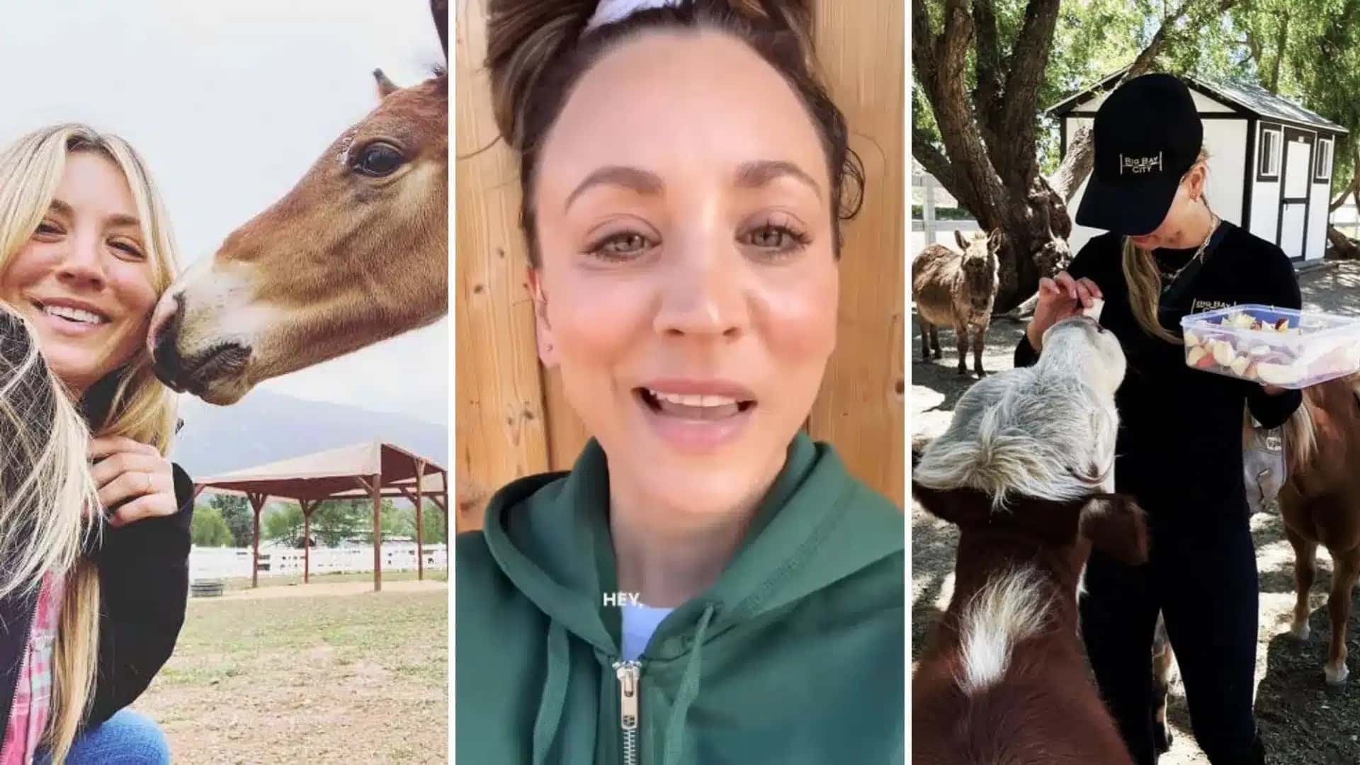 Kaley Cuoco, a Penny de Big Bang, abriga mais de 100 animais em rancho de 16 hectares