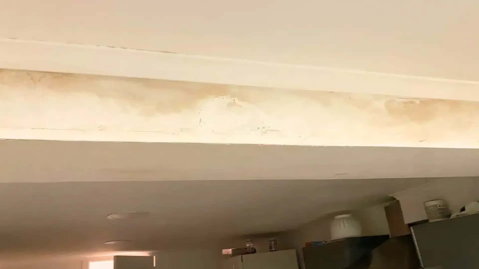A identificação precisa da origem da umidade antes de iniciar reparações evita reformas desnecessárias e gastos com pinturas superficiais que não eliminam a causa raiz.