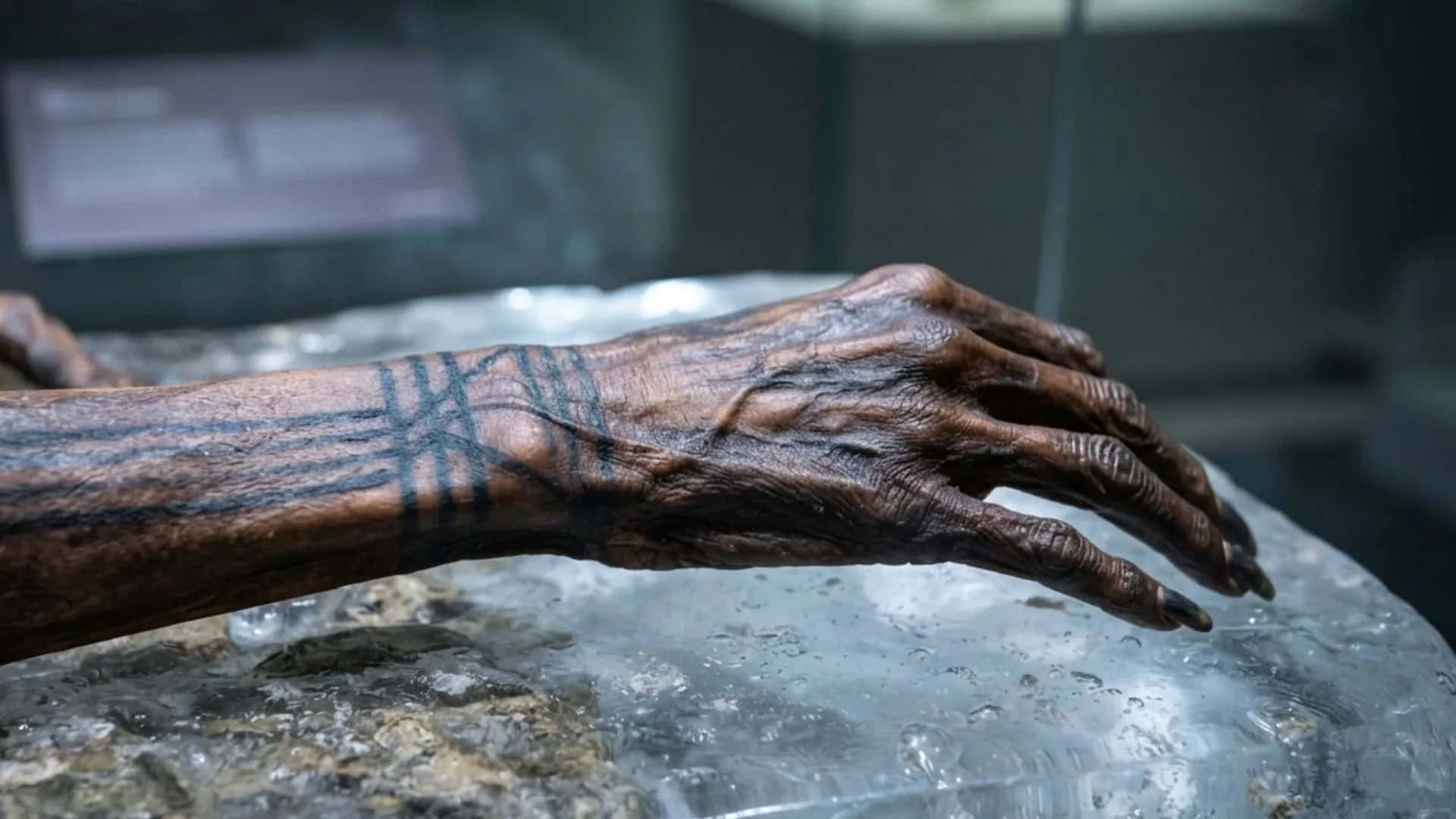 Proibida na Bíblia e usada por múmias egípcias: como a arte na pele sobreviveu a 5 mil anos de história