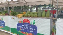 MST Promove Feira Rural na Área do Assentamento Normandia