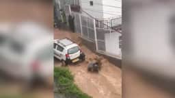 Mulher quase é arrastada por enxurrada enquanto pilotava moto em Upper Dharamshala, na Índia