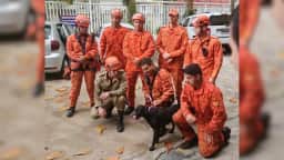 Corpo de Bombeiros resgata mais de 18 mil animais no Rio de Janeiro entre janeiro e agosto de 2026