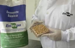 Embrapa solicita a presidenciáveis mais recursos e estabilidade para pesquisa agropecuária em 2026