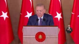 Erdogan reafirma apoio da Turquia a vizinhos após ataques aéreos de Israel na Síria