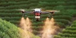 Drones se tornam arma preferida do crime organizado na América Latina