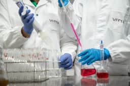 Vittia aprova R 13,25 milhões em juros sobre capital próprio a acionistas