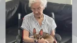 Idosa de 90 anos adota chihuahua cega para companhia e cria vínculo imediato