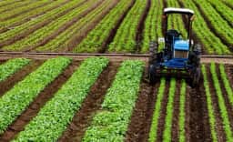 Transição ecológica no agro pode exigir investimento de até R 2,6 tri até 2050
